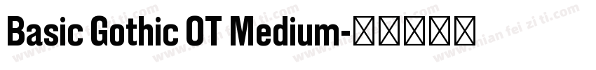 Basic Gothic OT Medium字体转换